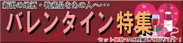 �o�����^�C���M�t�g���W