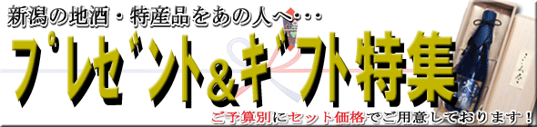 �v���[���g���M�t�g���W